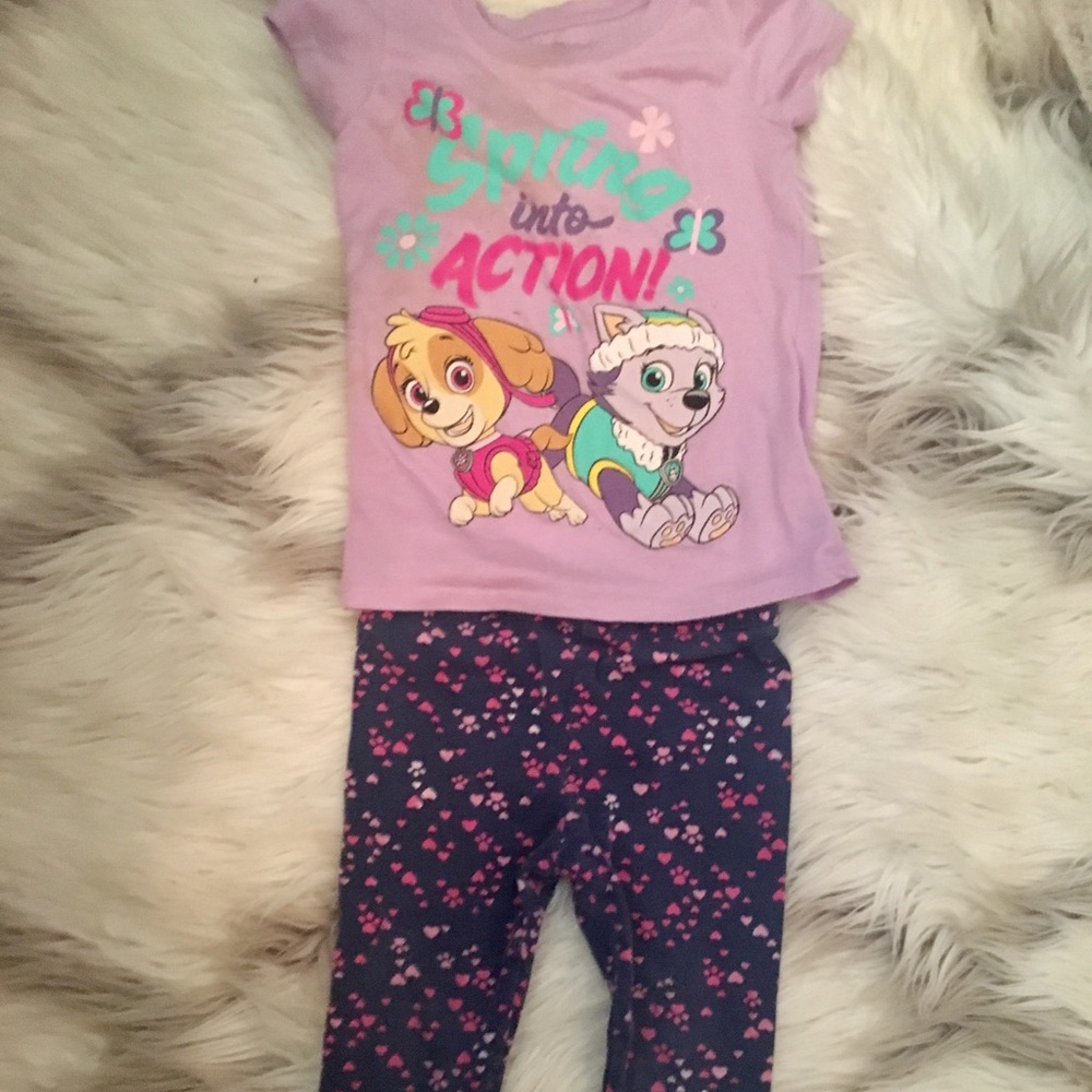 Paw Patrol Skye and Everest Top and Legging Set